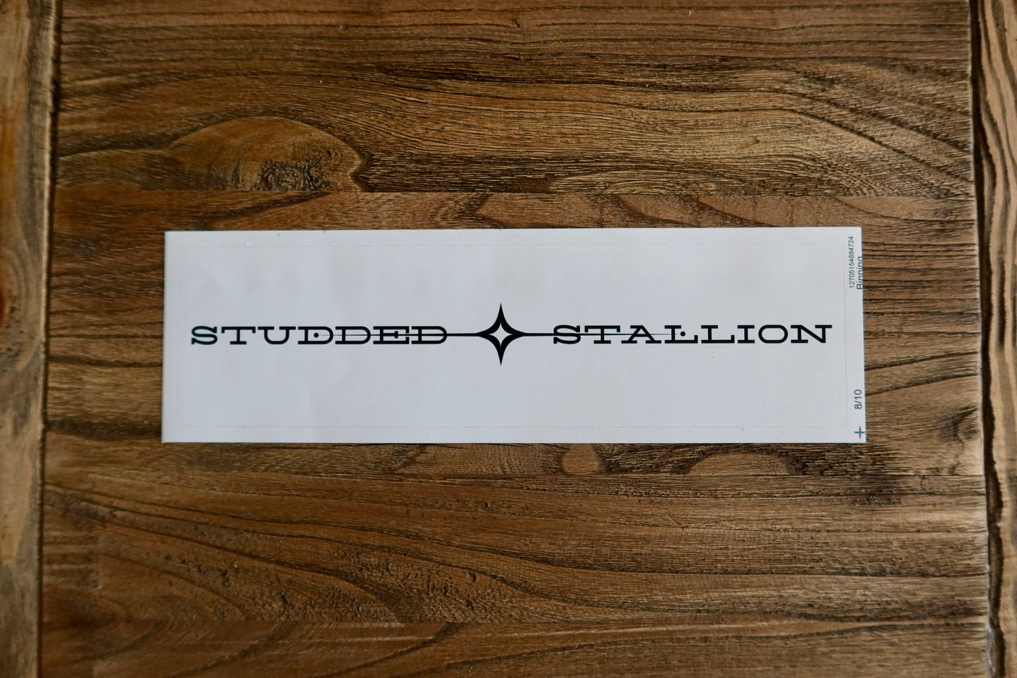 Studded Stallion Bumper Sticker