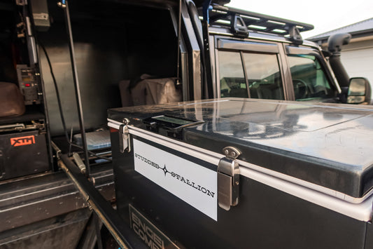 Studded Stallion Bumper Sticker